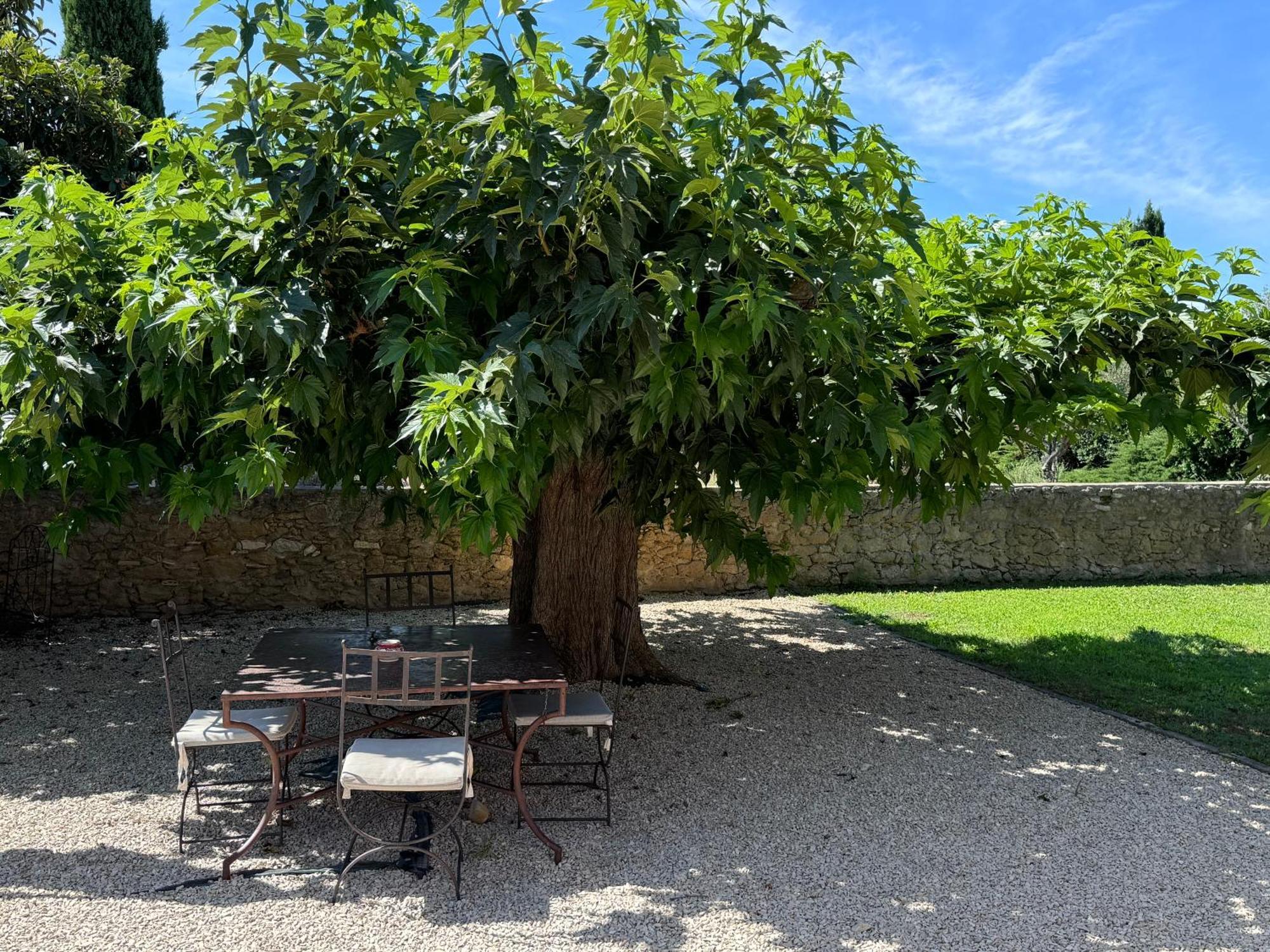 Bastide Du Buou Daire Puyvert Oda fotoğraf